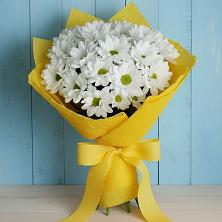 Букет цветов из:  Хризантемы в Пригородный Оренбургский район