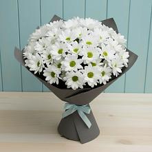 Букет цветов из:  Хризантемы в Пригородный Оренбургский район