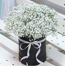 Цветочная композиция из Гипсофила в шляпной коробке #REPLACE_PRED# Пригородный Оренбургский район