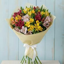 Букет цветов из:  Альстромерии в Пригородный Оренбургский район